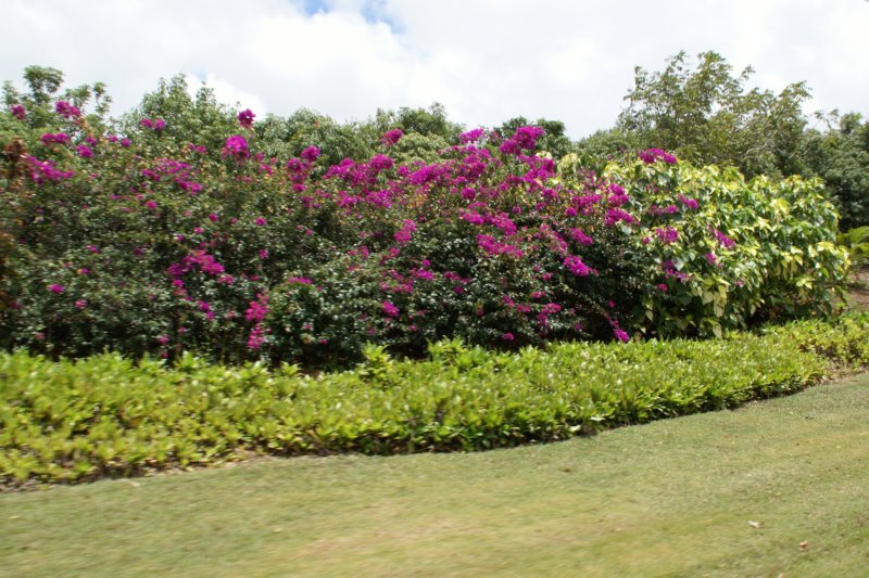 day10bridgetownbarbados07.jpg