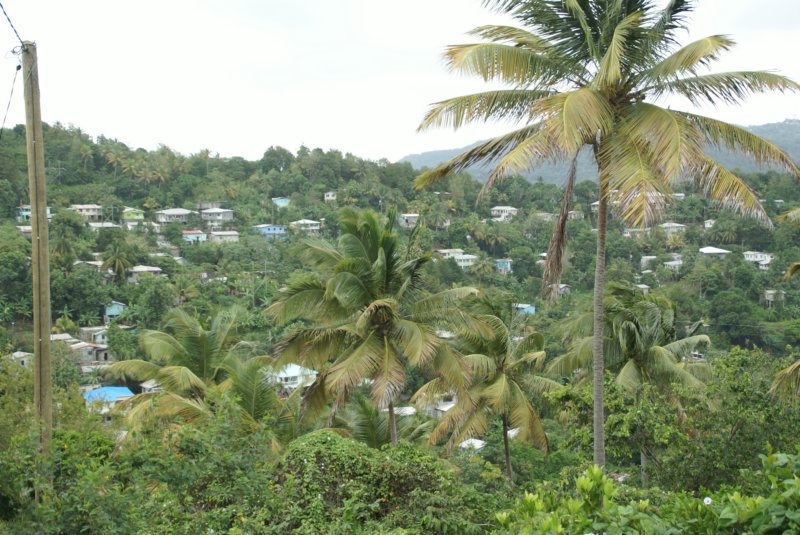 day11castriesstlucia11.jpg