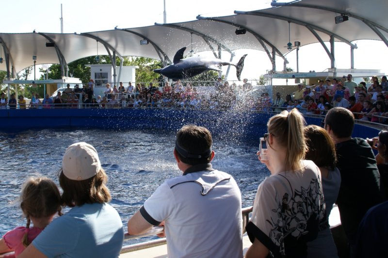 Dec - Miami Aquarium 28 decmiamiaquarium28.jpg