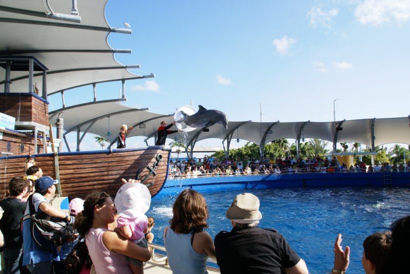Dec - Miami Aquarium 30 decmiamiaquarium30.jpg