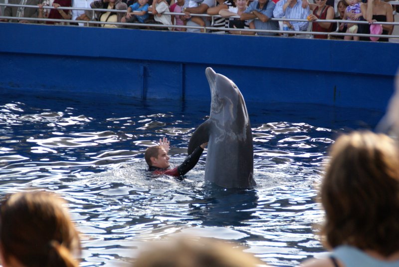 Dec - Miami Aquarium 45 decmiamiaquarium45.jpg