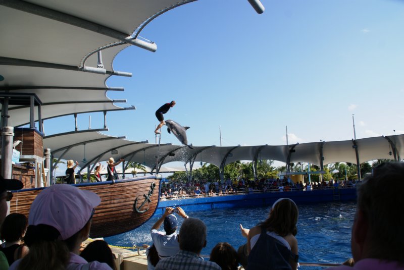 decmiamiaquarium51.jpg