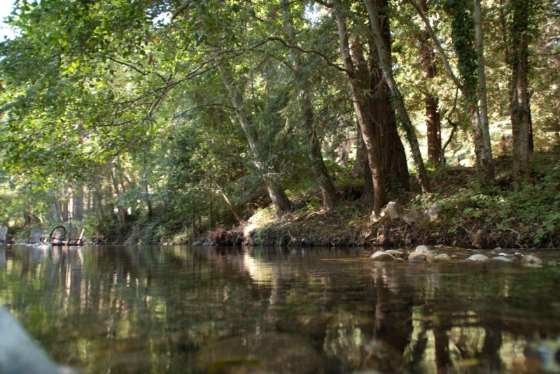 _river_inn_big_sur_09527.jpg