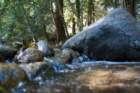 _river_inn_big_sur_09546_small.jpg