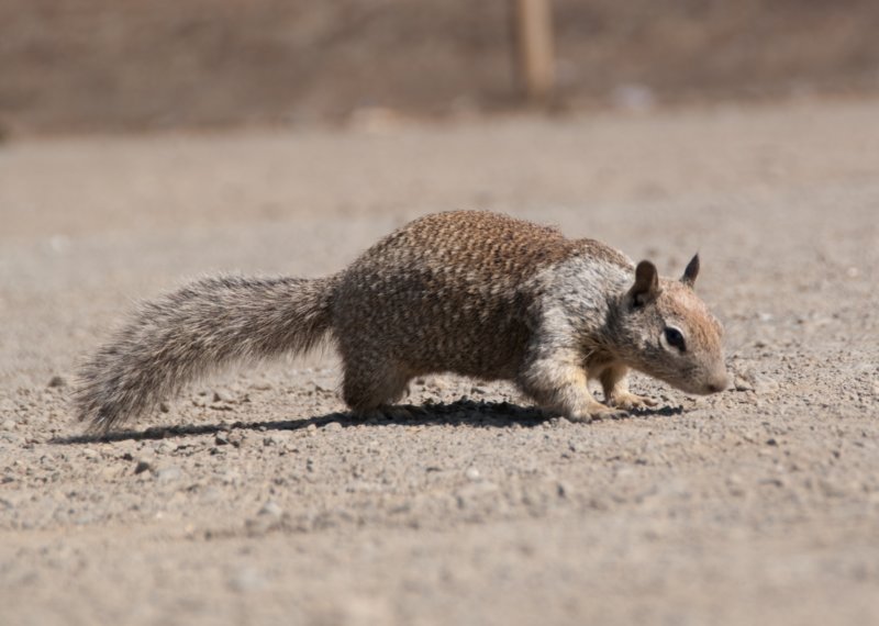 _scenes_pch_09088.jpg