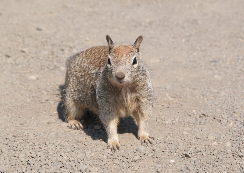 _scenes_pch_09096.jpg