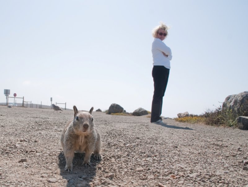 _scenes_pch_09098.jpg