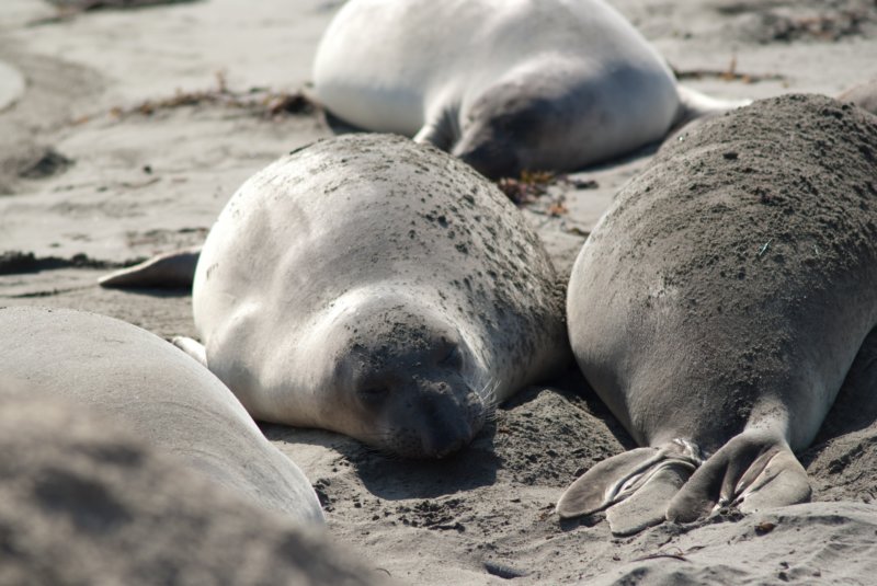 _scenes_pch_09270.jpg