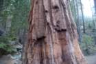 _scenes_yosemite_10186_small.jpg