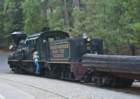 _train_trip_yosemite_10118_small.jpg