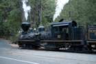 _train_trip_yosemite_10141_small.jpg