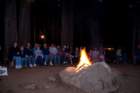 _train_trip_yosemite_10160_small.jpg