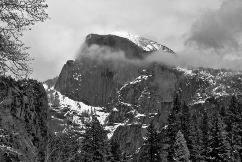 yosemitevalleybwa100dsc01913.jpg