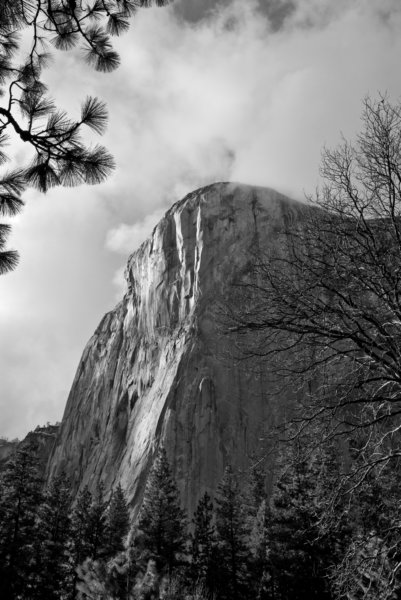 yosemitevalleybwa100dsc01996.jpg