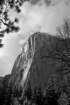 yosemitevalleybwa100dsc01996_small.jpg