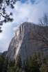 yosemitevalleya100dsc01996_small.jpg