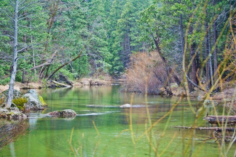 yosemitevalleya100dsc02182.jpg