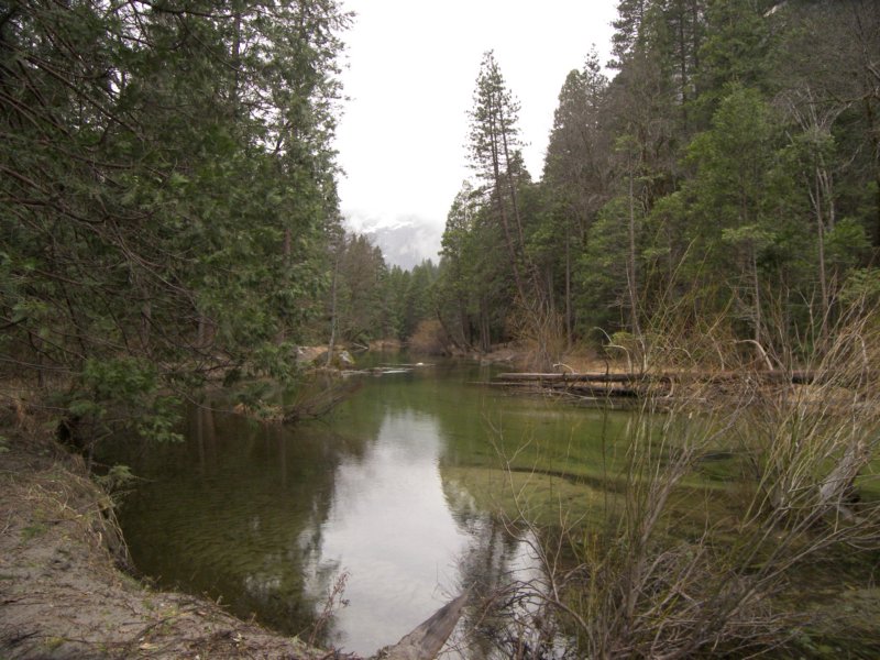 4-9-09 029 photo181.jpg
