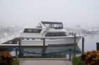 dsc00627_small.jpg