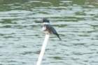 dsc01453_small.jpg