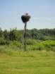 dsc00258_small.jpg