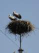 dsc00264_small.jpg
