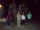 elephantsafari4_small.jpg