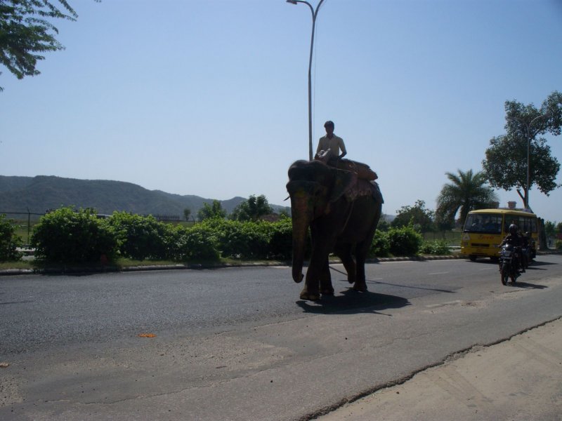 jaipur10.jpg