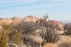 dsc07982_small.jpg