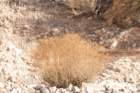 dsc07983_small.jpg