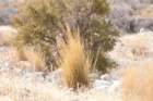 dsc07987_small.jpg