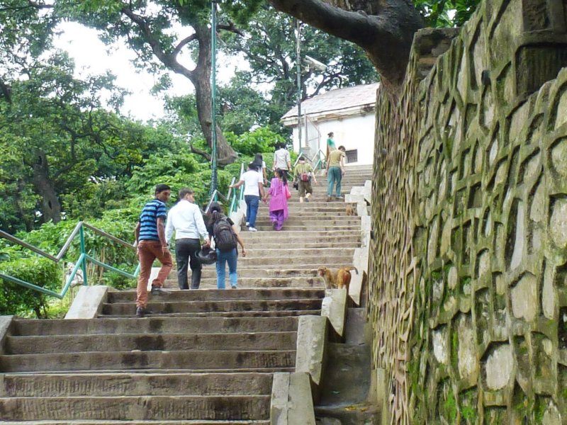 monkeysatswayambhunathstupa.jpg