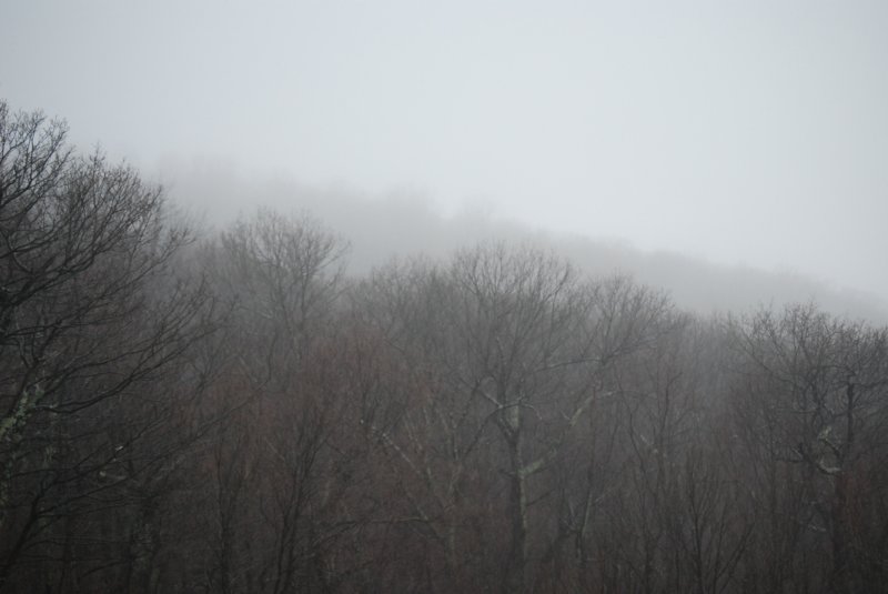 DSC_3550 dsc_3550.jpg