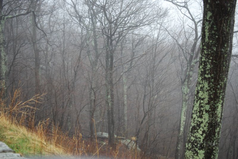 DSC_3551 dsc_3551.jpg