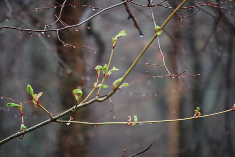 DSC_3574 dsc_3574.jpg