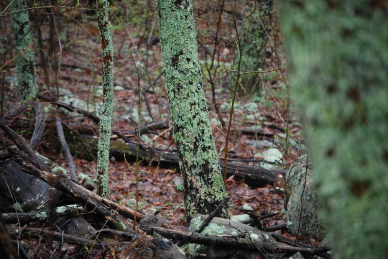dsc_3576.jpg