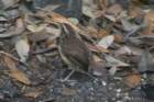 dsc03644_small.jpg