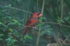 dsc03653_small.jpg