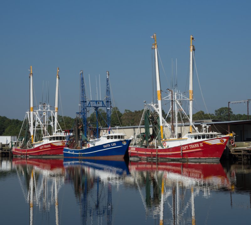 oct2014bayoulabatrealabamadsc05954.jpg