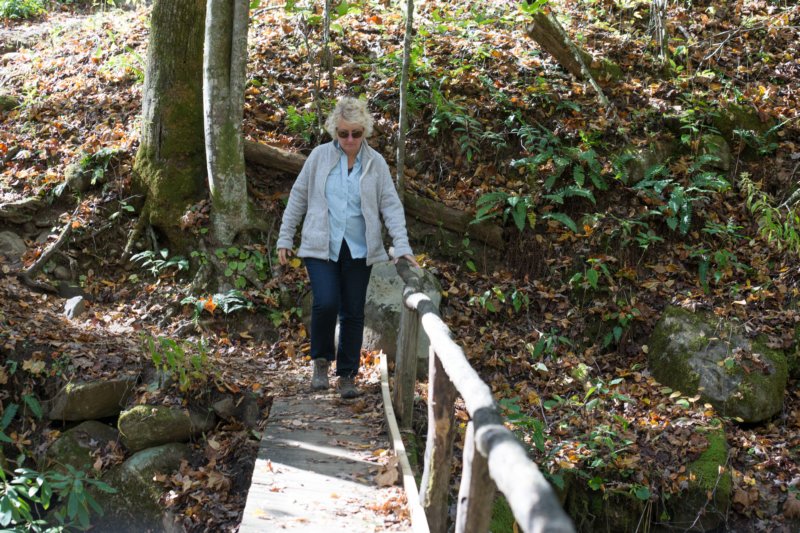 oct2014logbridgeoverriveratkephartprongtrailingreatsmokymountainsnorthcarolinadsc05946.jpg