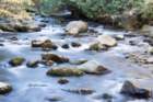 oct2014riveratkephartprongtrailingreatsmokymountainsnorthcarolinadsc05952_small.jpg