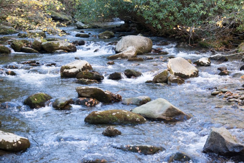 oct2014riveratkephartprongtrailingreatsmokymountainsnorthcarolinadsc05953.jpg