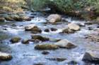 oct2014riveratkephartprongtrailingreatsmokymountainsnorthcarolinadsc05953_small.jpg