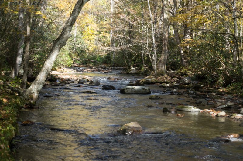 oct2014smokemontcampgroundgreatsmokymountainsncdsc05896.jpg