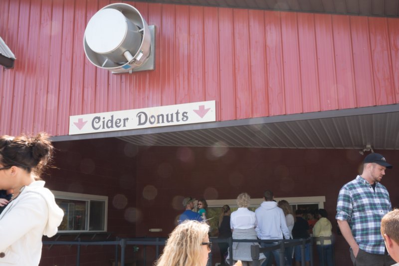 sep2014appleciderdonutstheyweregreatatmilburnorchardselktonmddsc04709.jpg