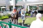 sep2014churchilldownshomeofthekentuckyderbylouisvillekydsc05484_small.jpg