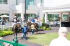 sep2014churchilldownshomeofthekentuckyderbylouisvillekydsc05486_small.jpg