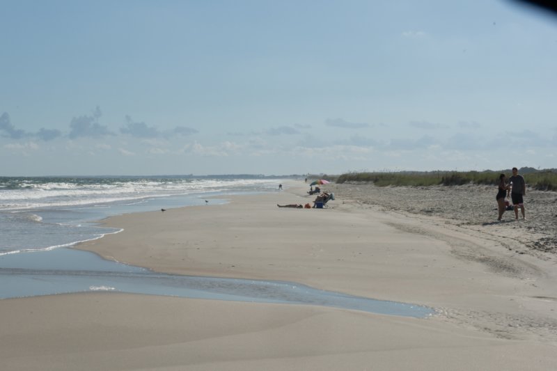 sep2014huntingtonbeachstateparkscbeachdsc04291.jpg