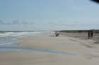 sep2014huntingtonbeachstateparkscbeachdsc04291_small.jpg