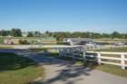 sep2014kentuckyhorseparkdsc05283_small.jpg